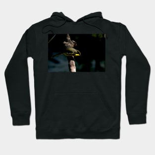 Are You A Threat? Hoodie